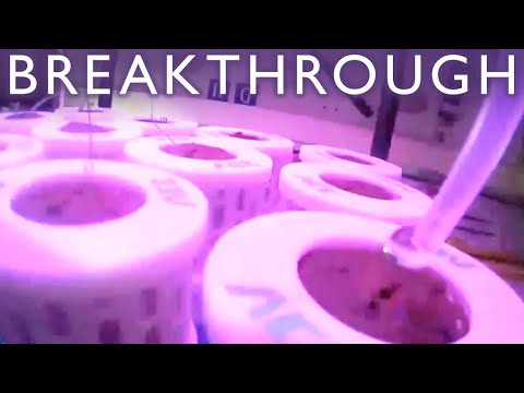 What China Is Doing on Tiangong Is Game-Changing