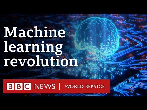 What do tech pioneers think about the AI revolution? – BBC World Service